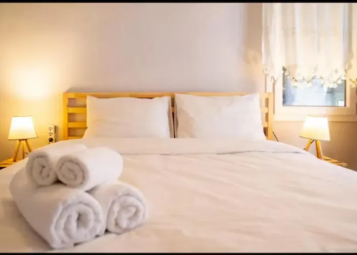 别墅 Historical Detached House In The Center